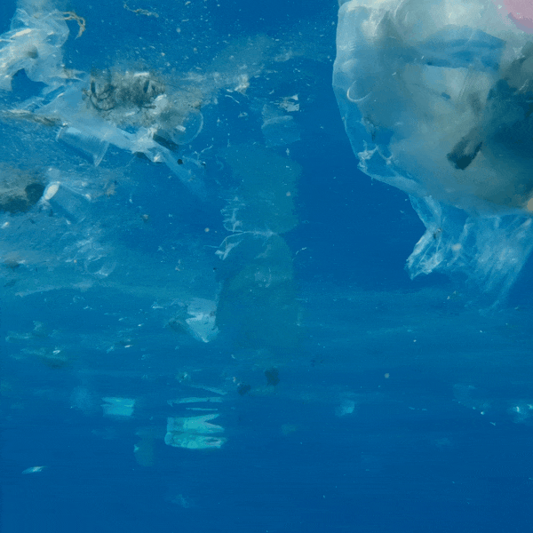 2.5 million kilos of plastic waste that never happened
